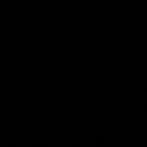 Meet your Posher, Daelynn